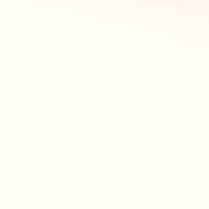 Meet your Posher, Ellie